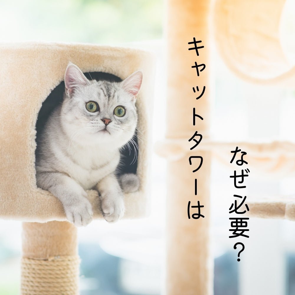 キャットタワーの必要性 – MOFUCAT