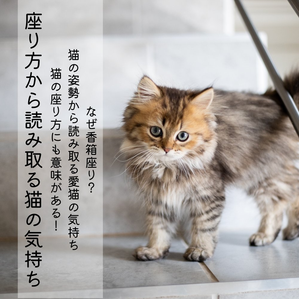 猫シルエットペリドットペンダント (エジプト座り) | monsterdog.com.br