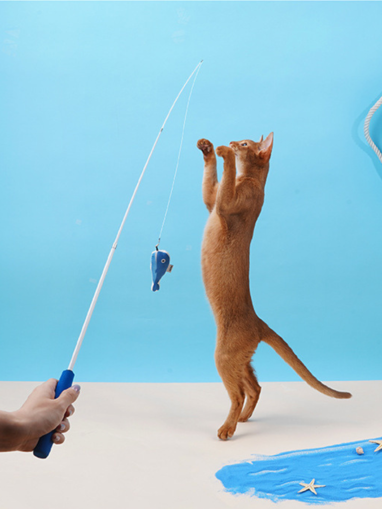 釣り竿の先のお魚に飛びつく猫