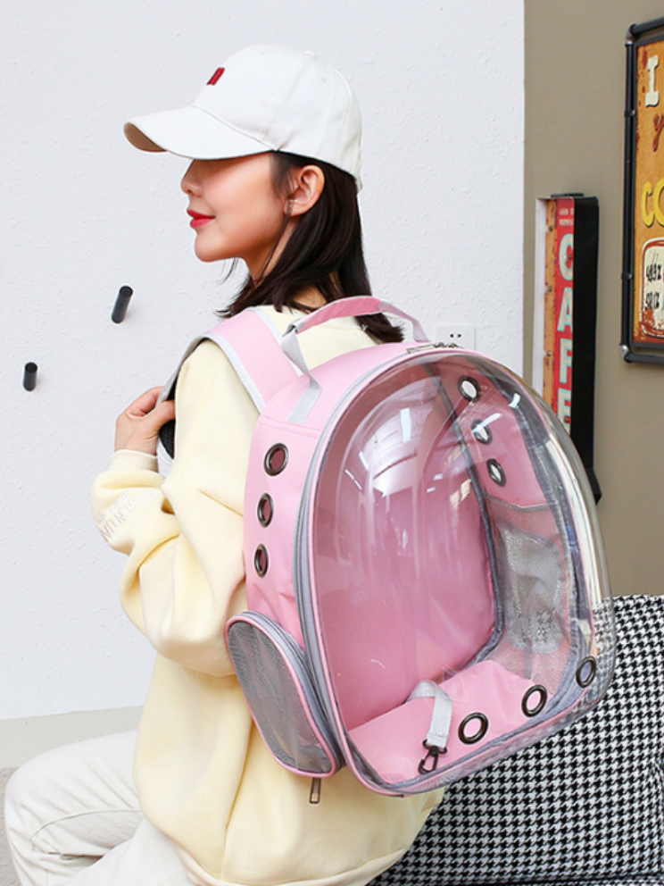 【生産終了予定】クリアカプセルキャリーケース