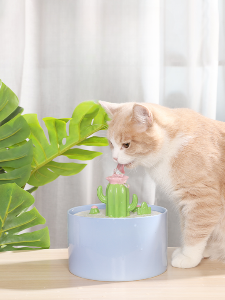 Cactus cat water fountain hotsell