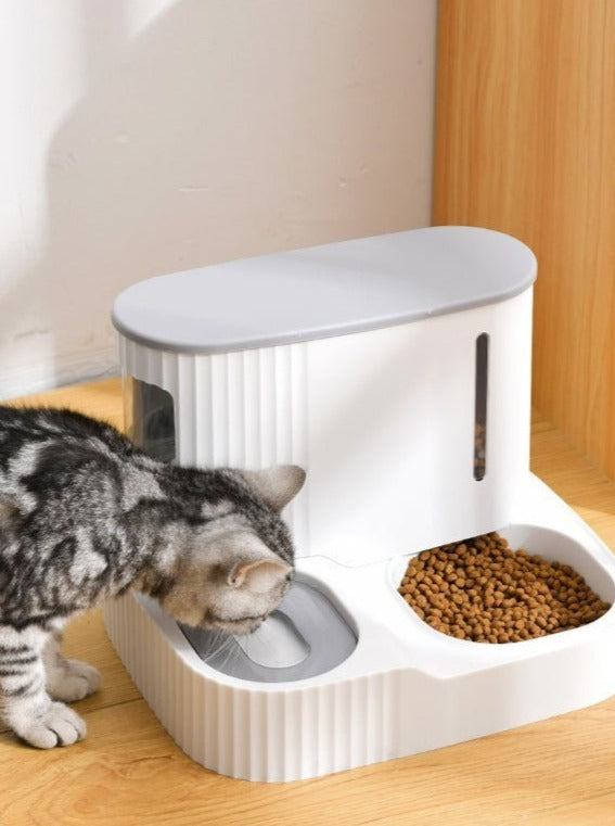 ごはんとお水が1台になったボウルのそばの猫