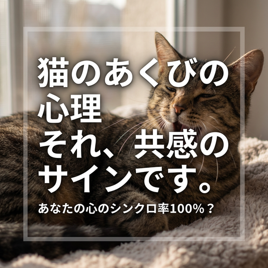 猫のあくびが伝染する理由とその愛情表現