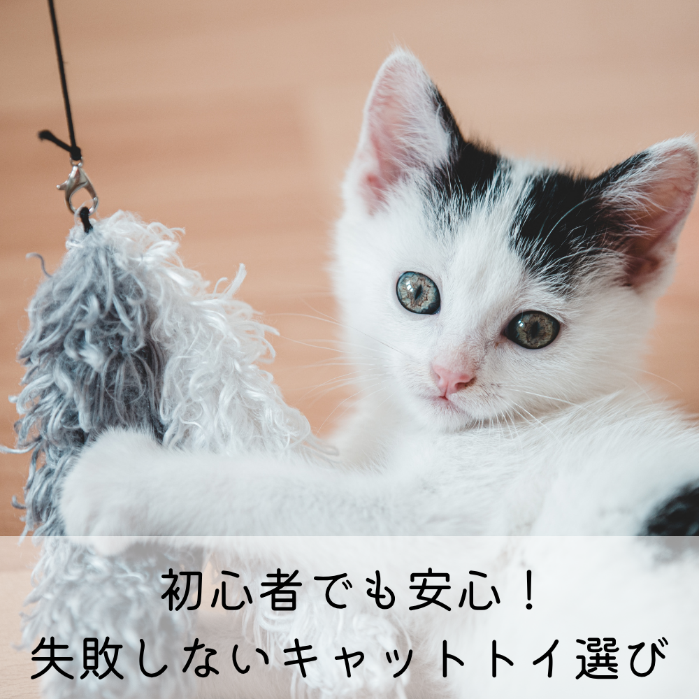 初心者でも安心！失敗しないキャットトイ選び