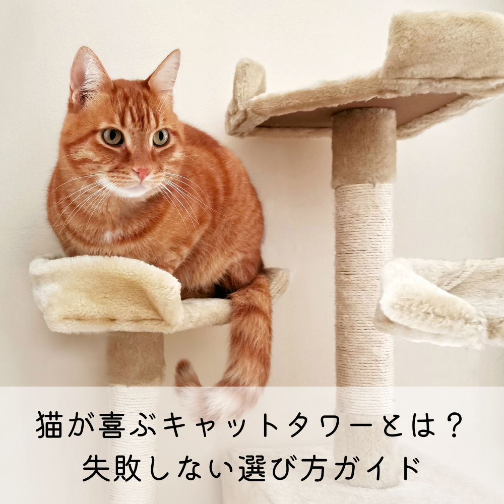 猫が喜ぶキャットタワーとは？失敗しない選び方ガイド