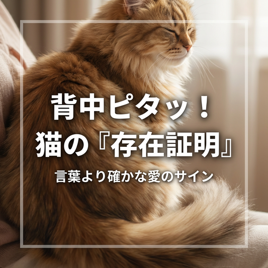 猫が背中をくっつける理由とその愛情表現