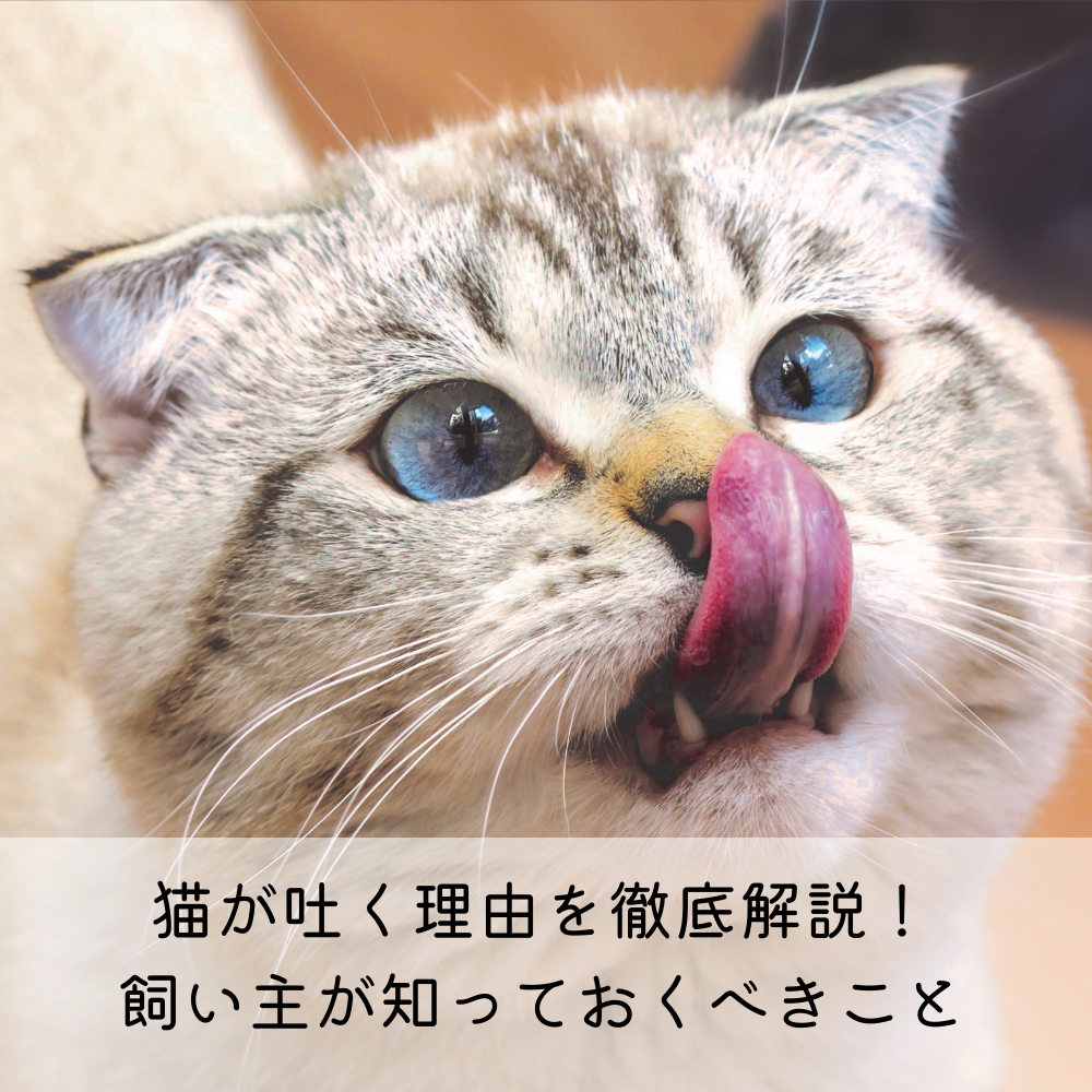猫が吐く理由を徹底解説！飼い主が知っておくべきこと