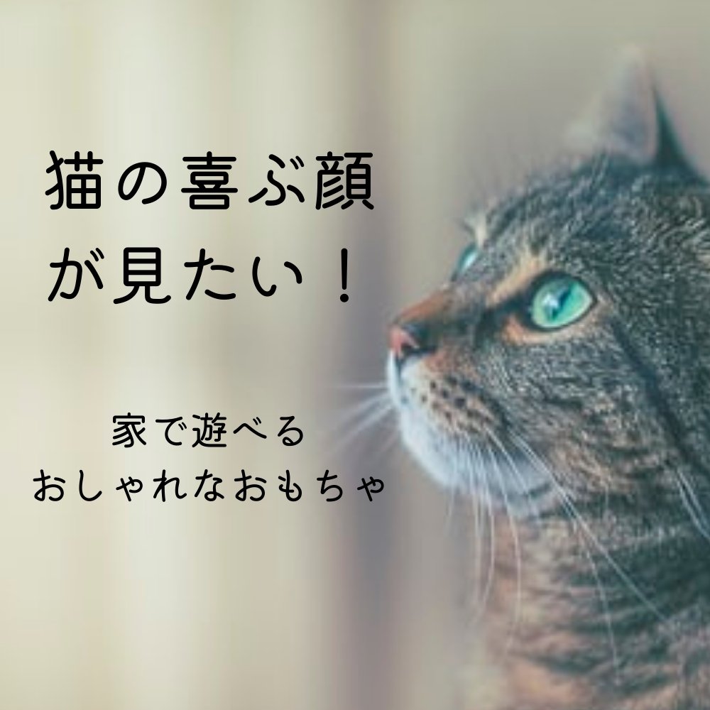 猫の喜ぶ顔が見たい！お家で遊べるおしゃれなおもちゃを教えて