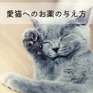 愛猫へのお薬の与え方 - MOFUCAT