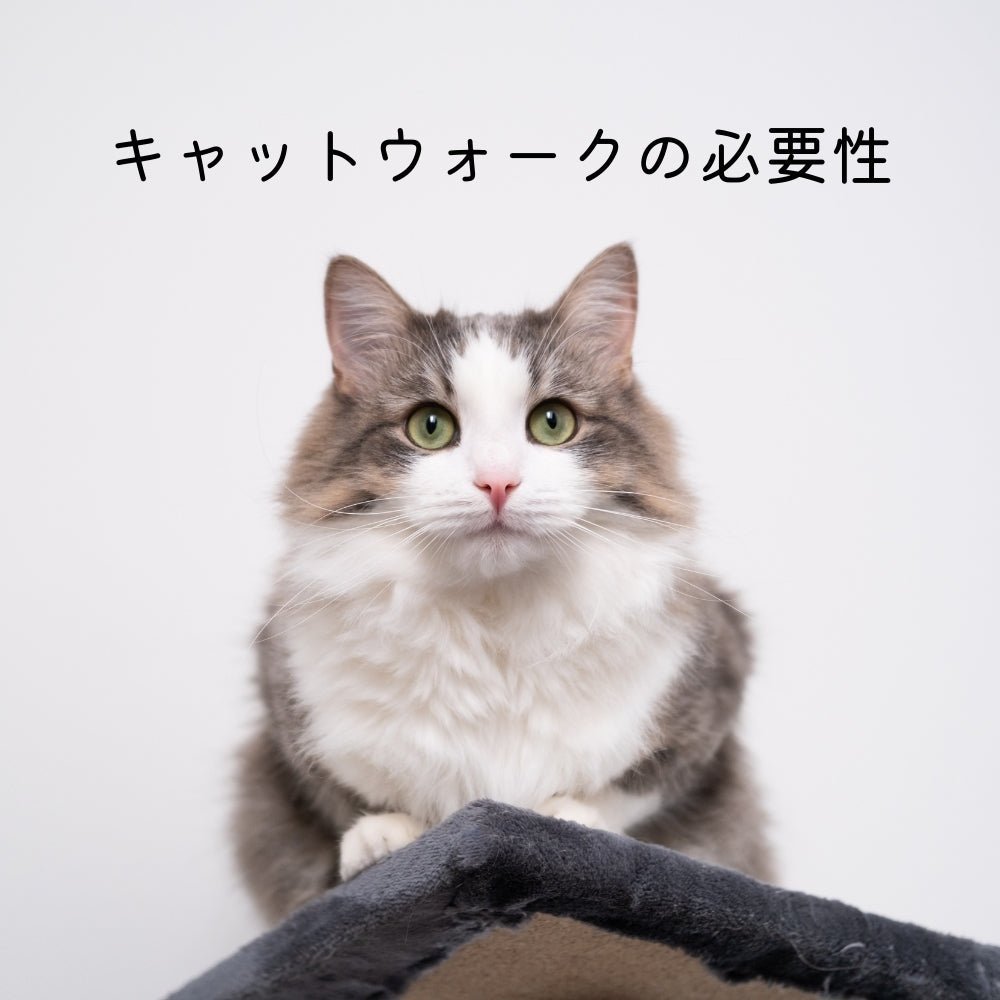 キャットウォークの必要性 - MOFUCAT