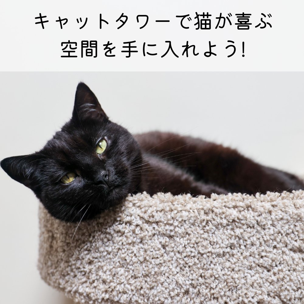 キャットタワーで猫が喜ぶ空間を手に入れよう - MOFUCAT