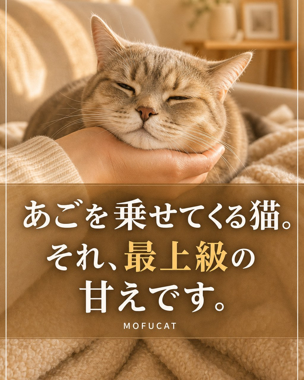 猫があごを乗せてくる理由｜最上級の甘えです