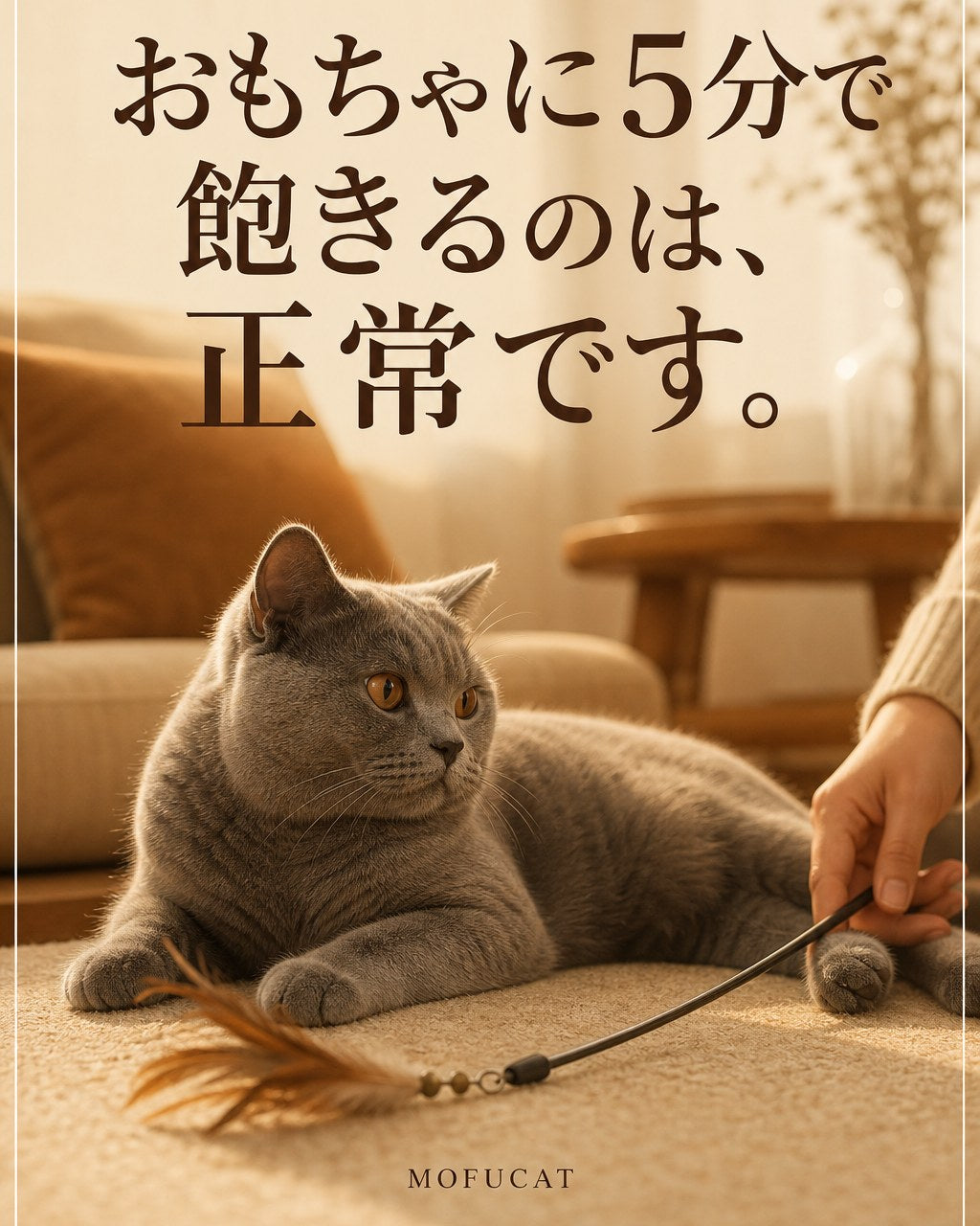 猫がおもちゃに5分で飽きる理由｜遊び嫌いじゃない