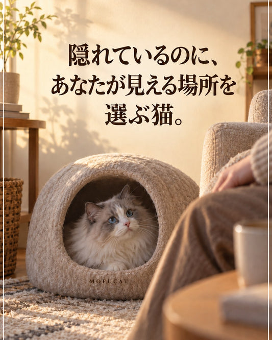 猫が隠れているのにあなたが見える場所を選ぶ理由｜離れたいわけじゃない
