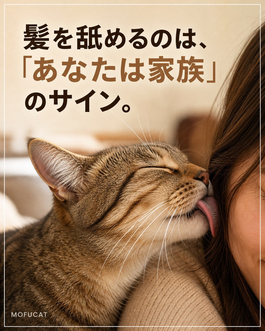 猫が髪を舐める理由｜「あなたは家族」のサイン