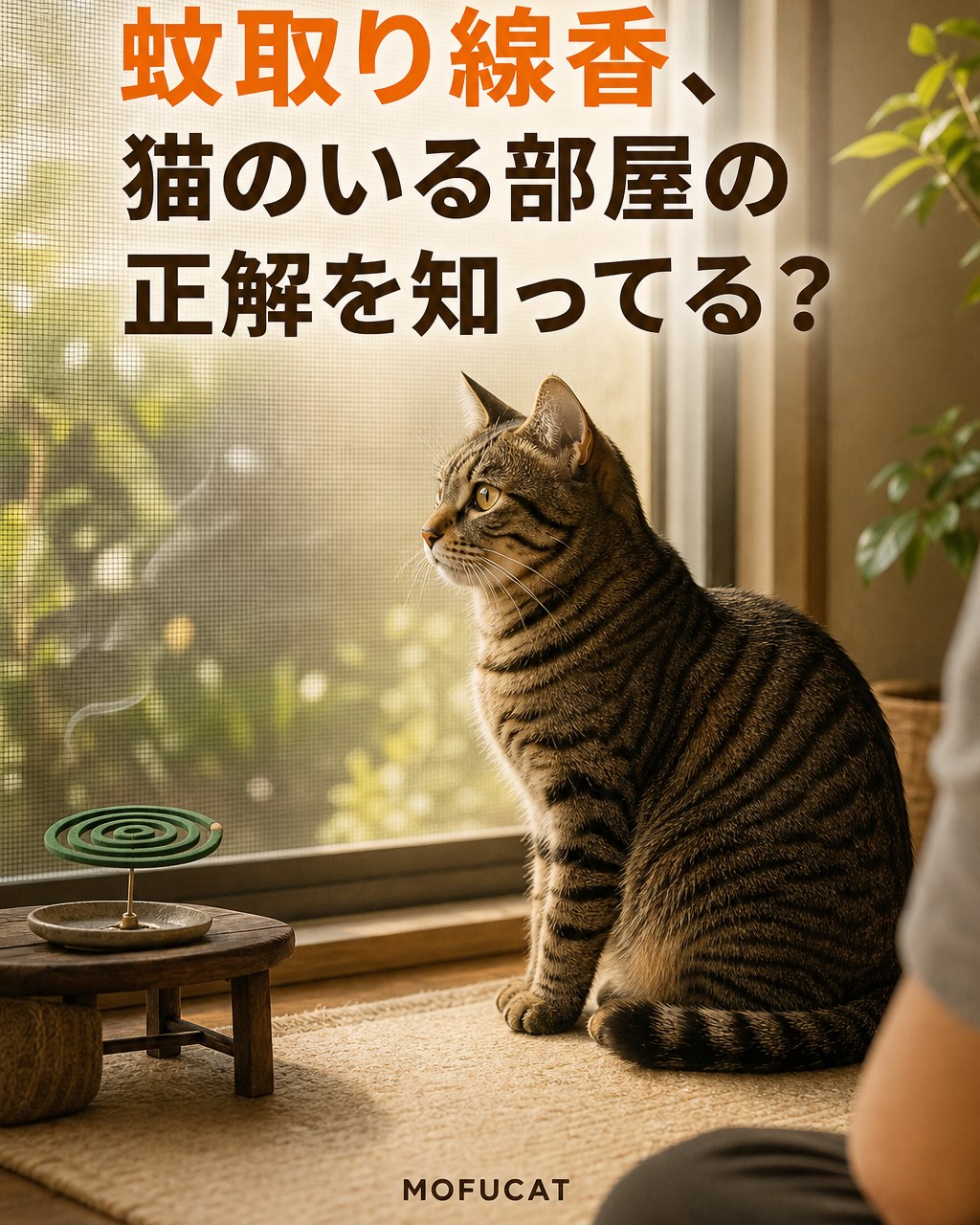 猫のいる部屋の蚊取り線香の選び方｜どれも同じじゃない
