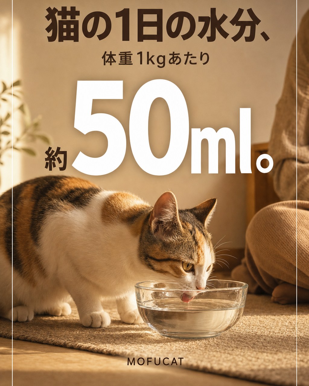 猫の1日の水分、体重1kgあたり約50ml