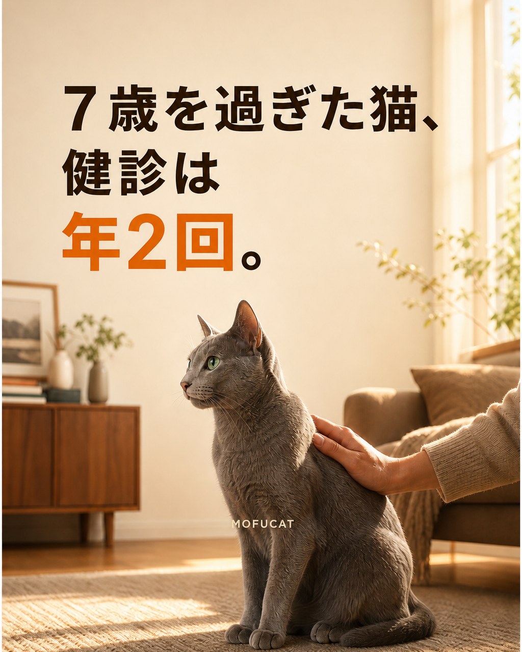 7歳を過ぎた猫、健診は年2回