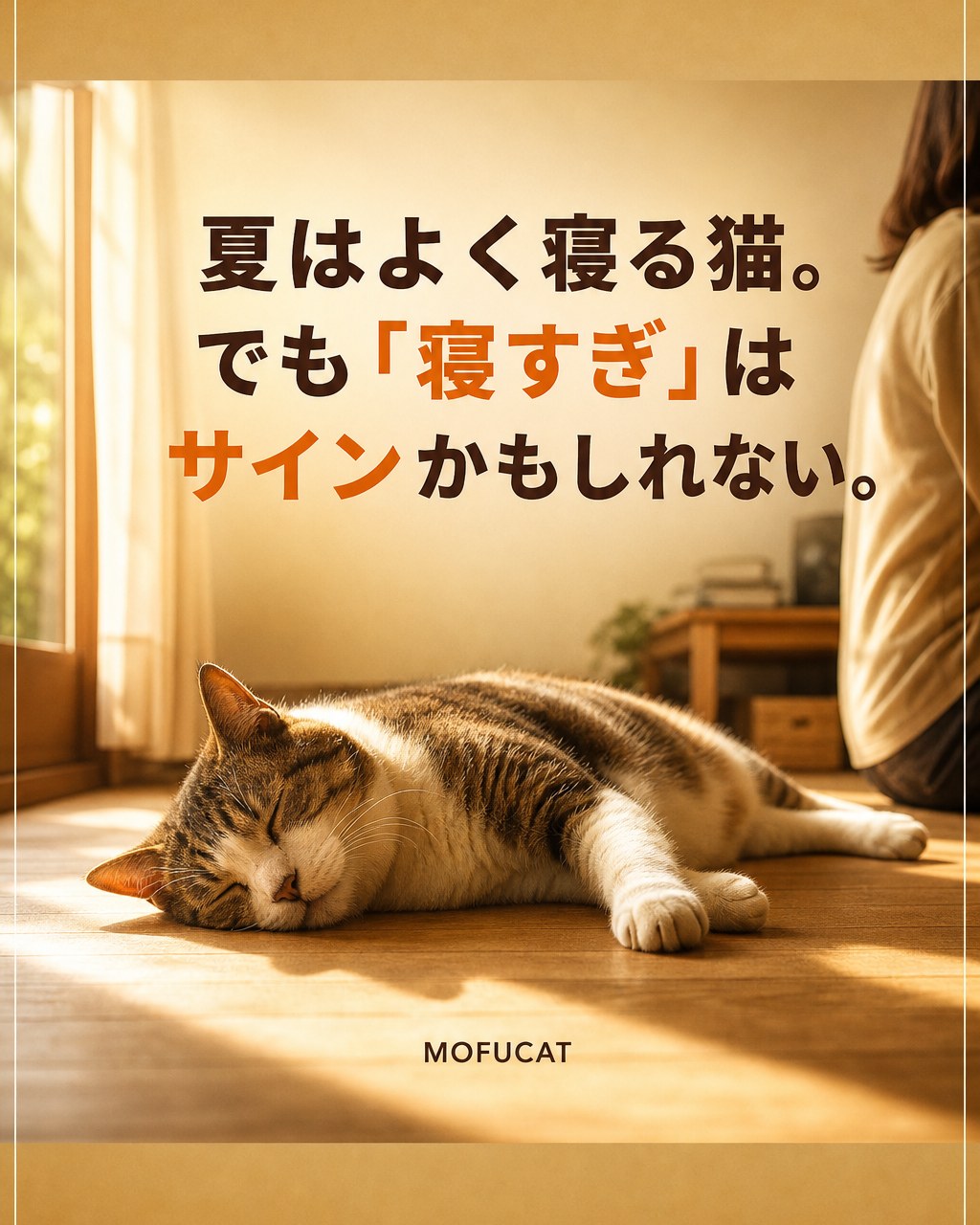 夏に猫がよく寝る理由｜寝すぎはサインかも