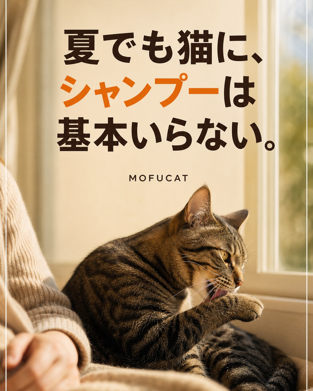 夏でも猫にシャンプーは基本いらない理由｜洗う＝清潔じゃない
