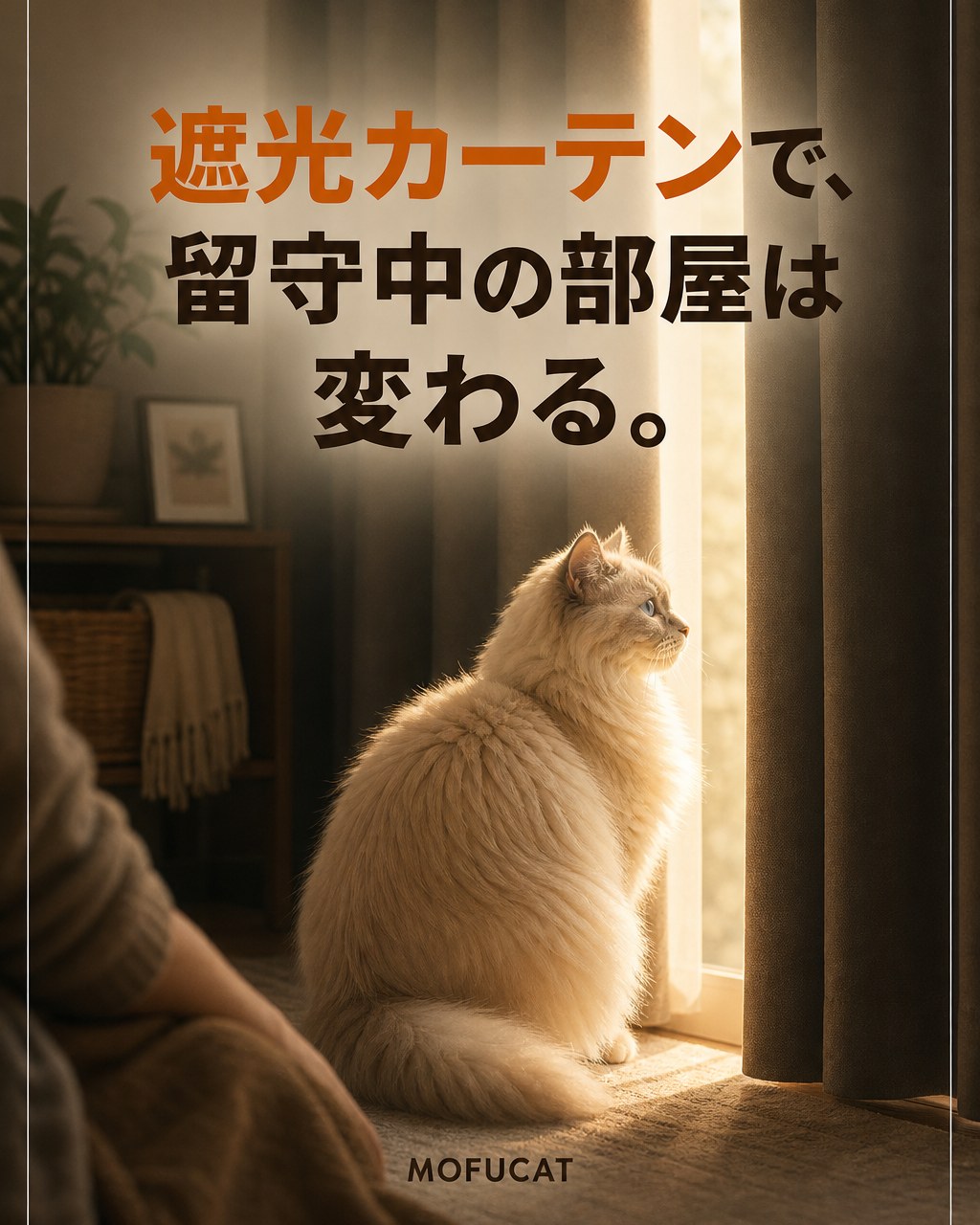 遮光カーテンで留守中の部屋は変わる｜猫のために出かける前のひと手間