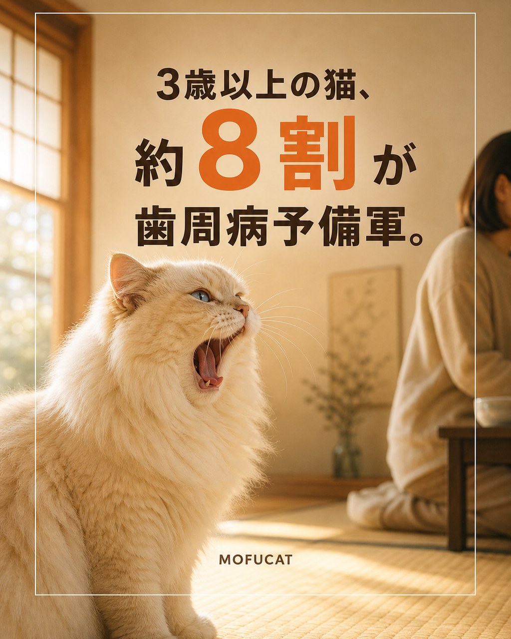 3歳以上の猫が歯周病予備軍になる理由｜虫歯にならない猫も進む