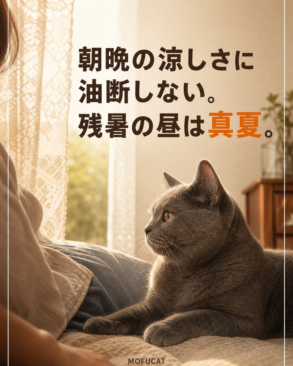 残暑の昼は猫にとって真夏｜朝晩の涼しさに油断しない