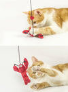 Crayfish cat toy 