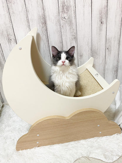 Moon scratching cat bed