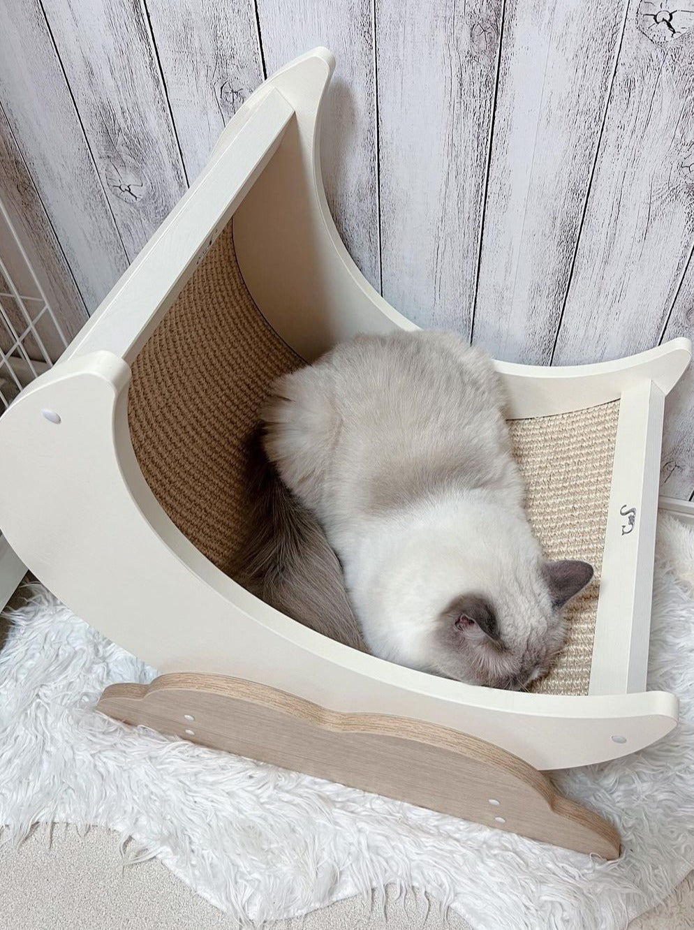 Moon scratching cat bed