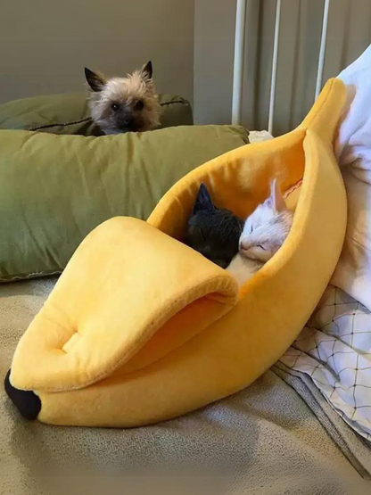 banana cat bed 