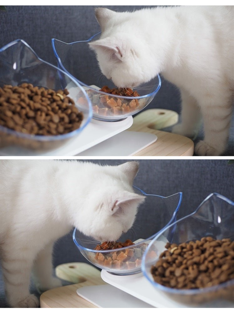 cat double food bowl 