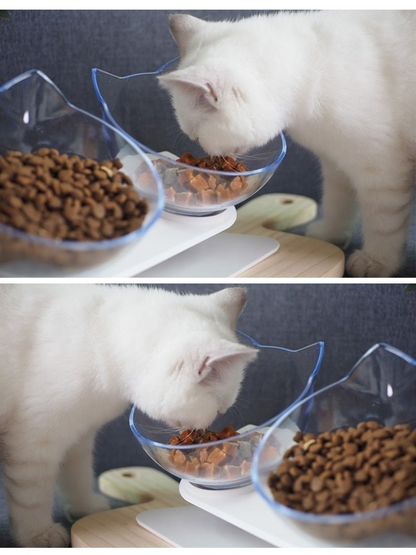 cat double food bowl 