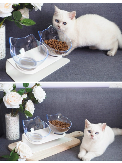 cat double food bowl 