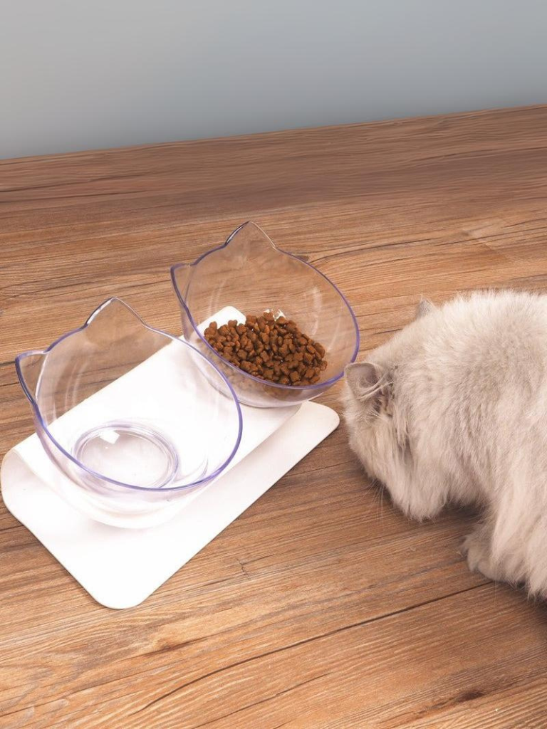 cat double food bowl 