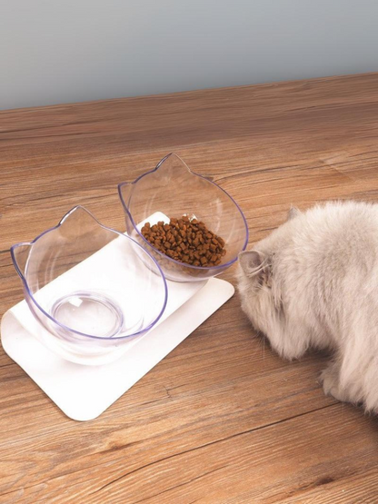 cat double food bowl 