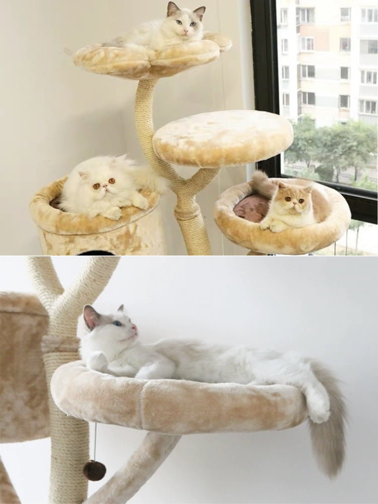 MOFUCATの人気上位商品!BIG TREEキャットタワー - MOFUCAT MOFUCATの人気上位商品!BIG TREEキャットタワー - MOFUCAT