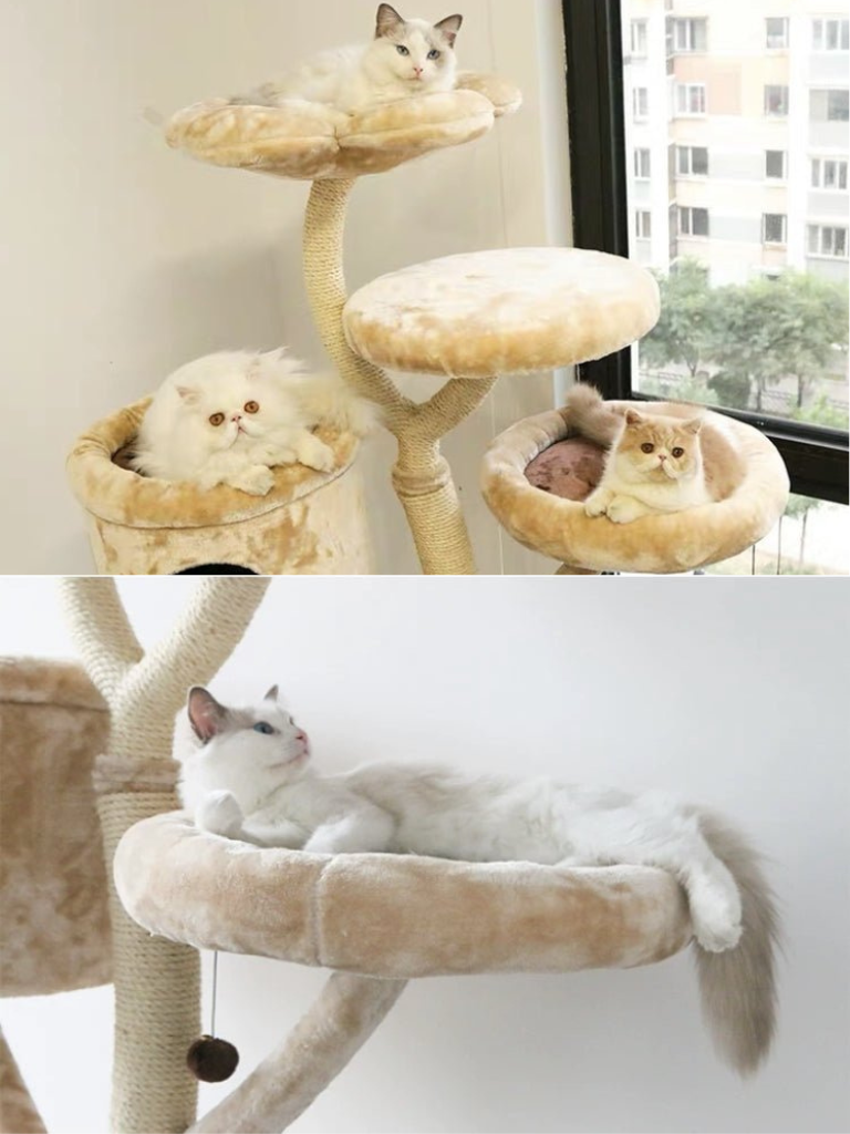 MOFUCAT's most popular products! BIG TREE cat tower 