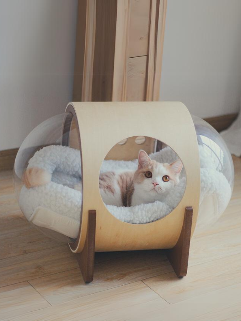 capsule bed