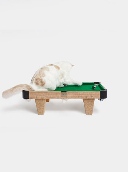 Billiard type cat toy [nail scratching board + cat teaser cue + felt ball]