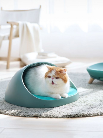 4 patterns cat bed with hot water bottle 