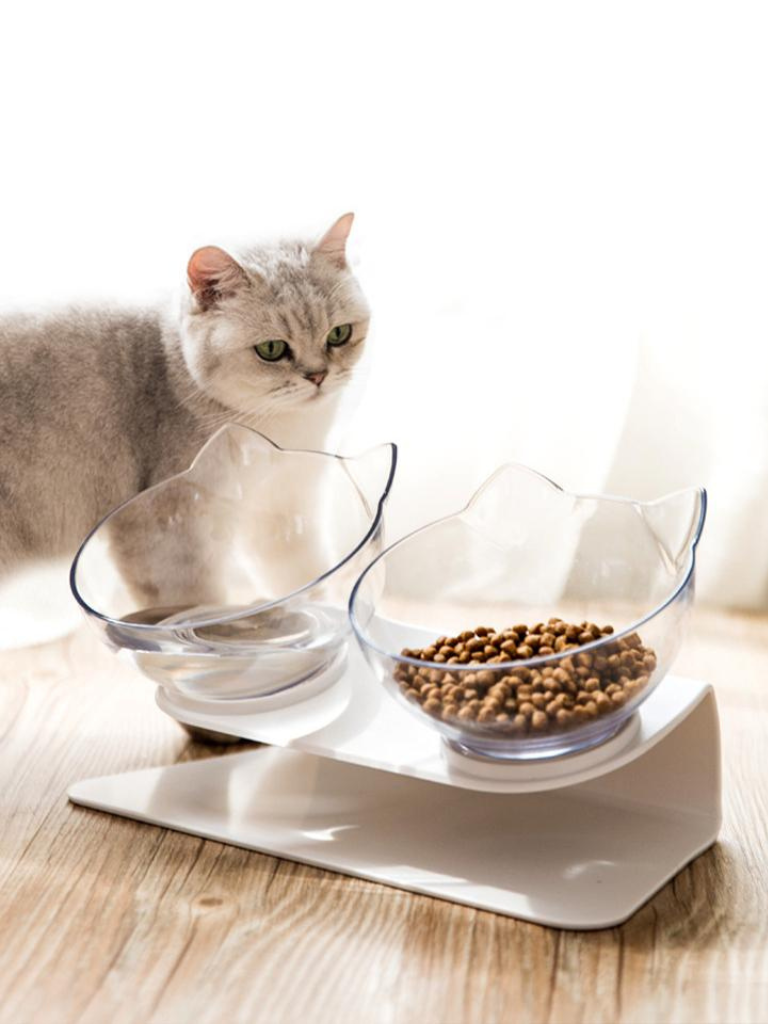 cat double food bowl 