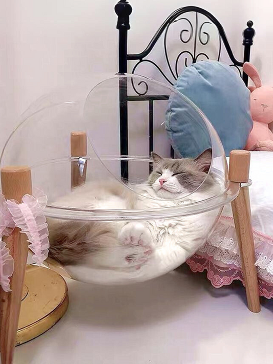 Earth-shaped capsule cat bed with visible paws