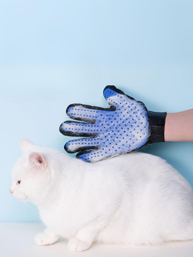 grooming gloves 