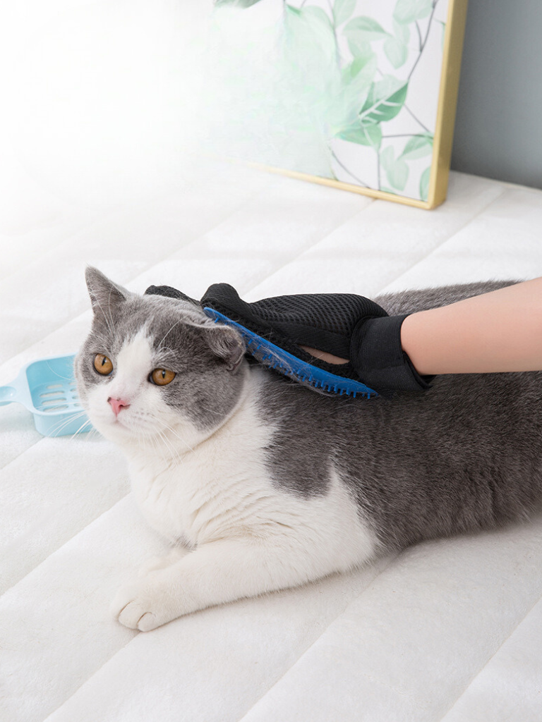 grooming gloves 