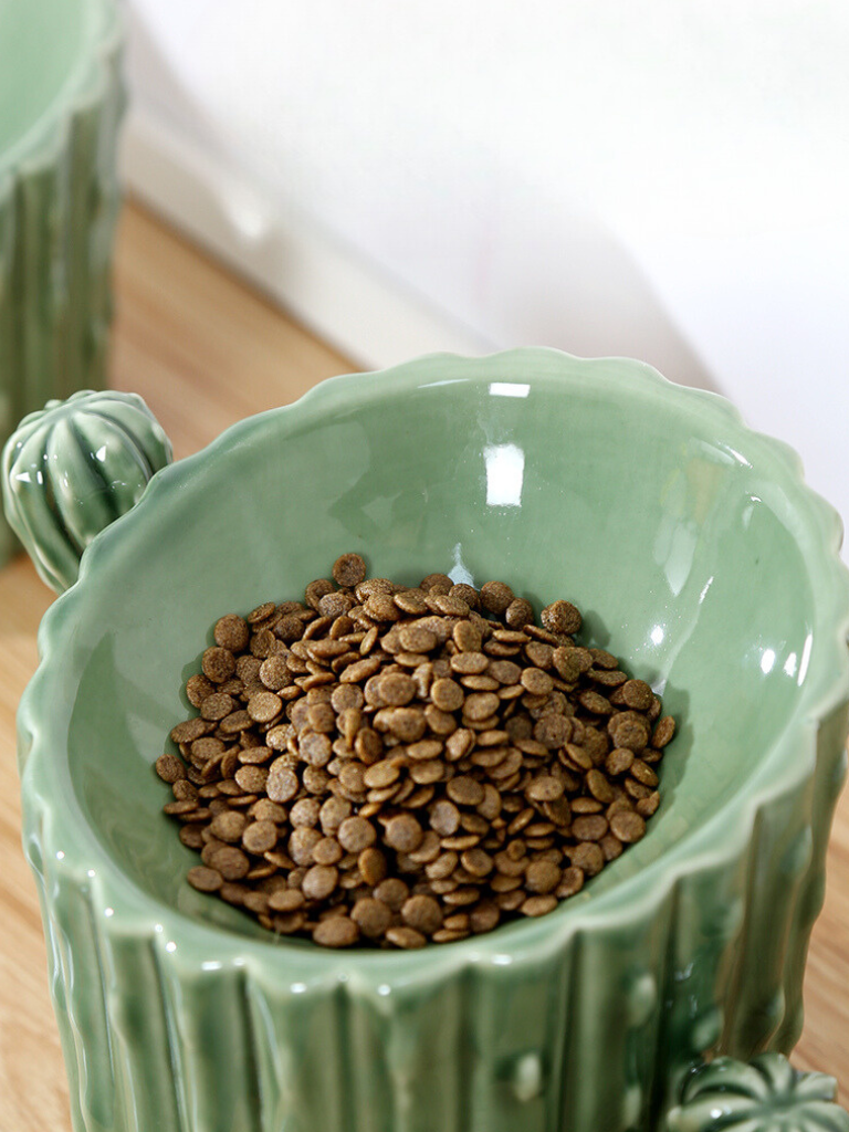 cactus shaped food bowl