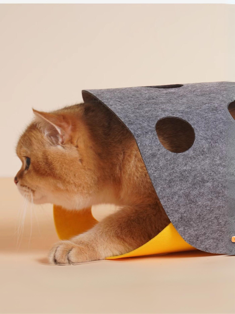 Cheese type cat tunnel 