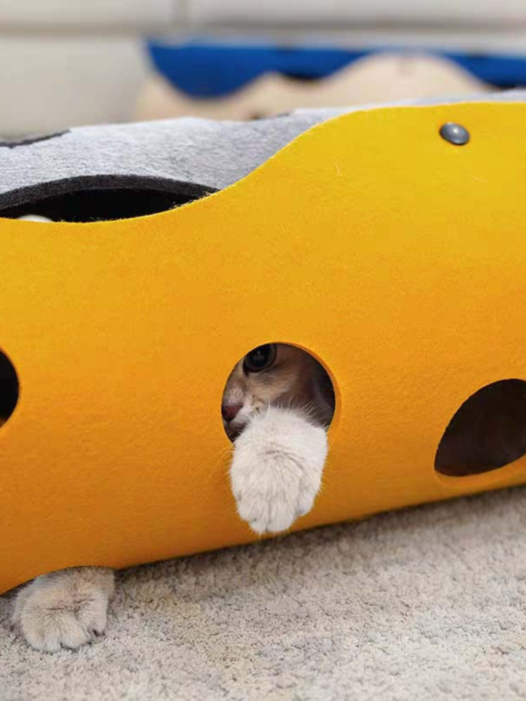 Cheese type cat tunnel 