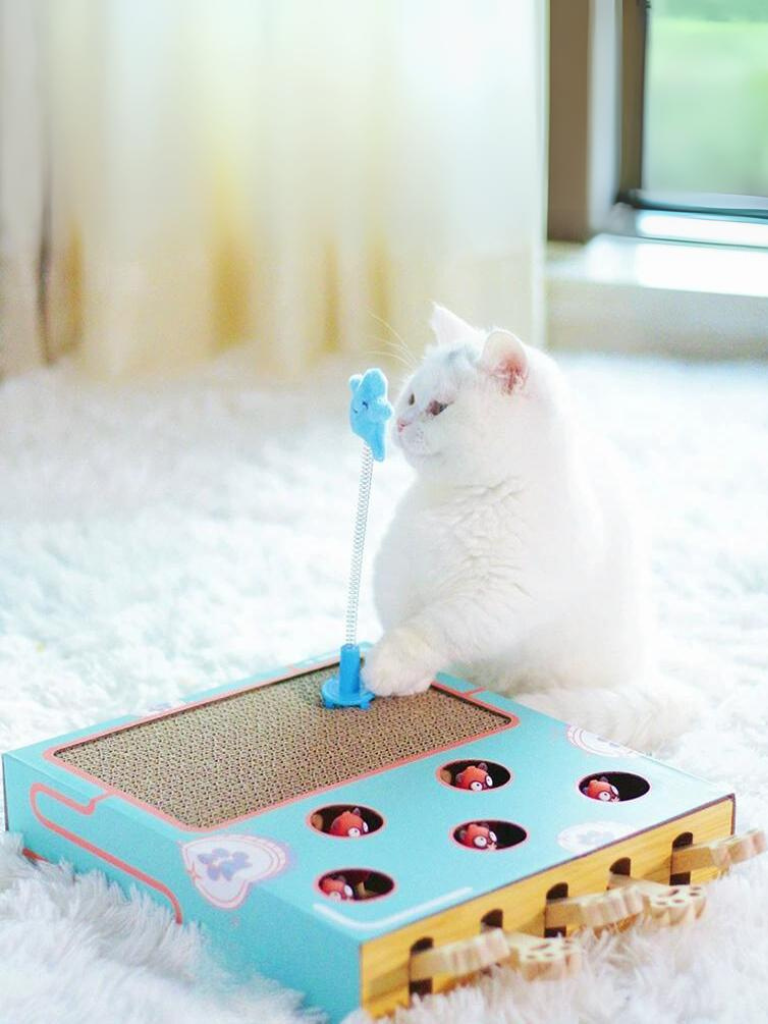 Pop-up hamster cat toy with claw 