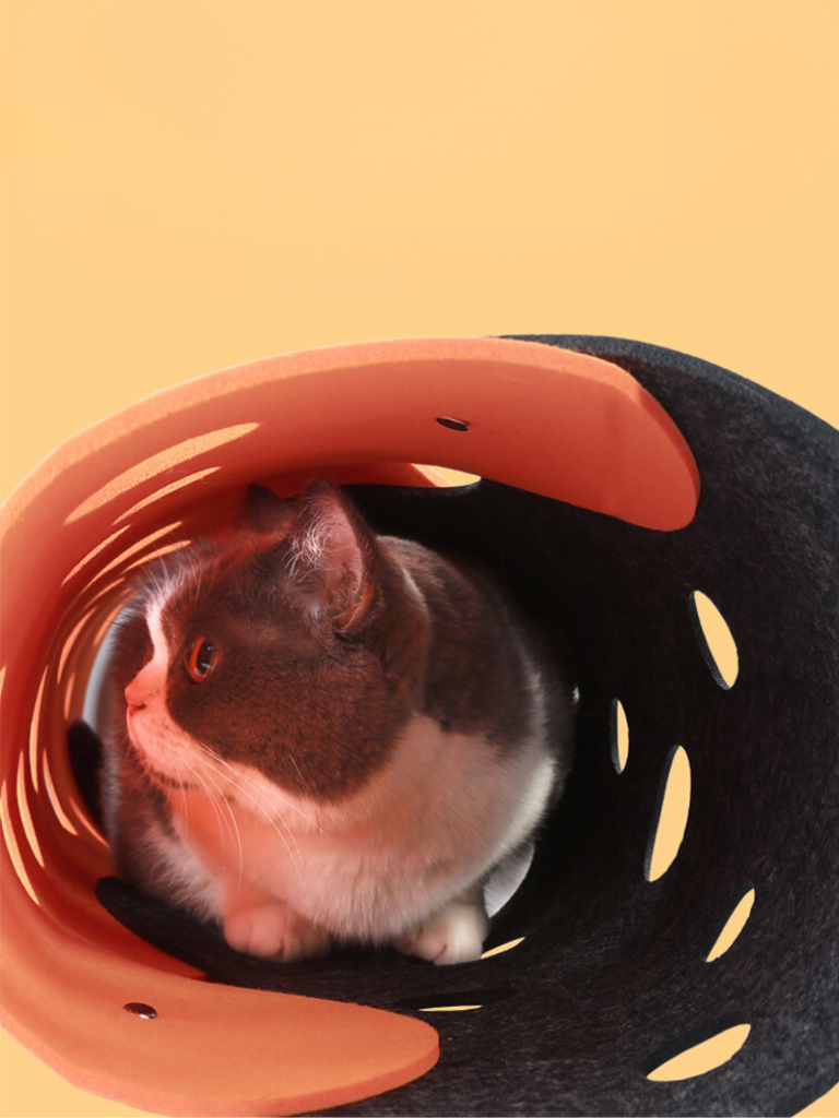 Cheese type cat tunnel 